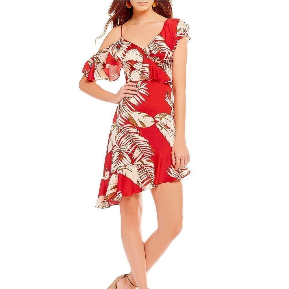 Lucy Paris Ted Dress